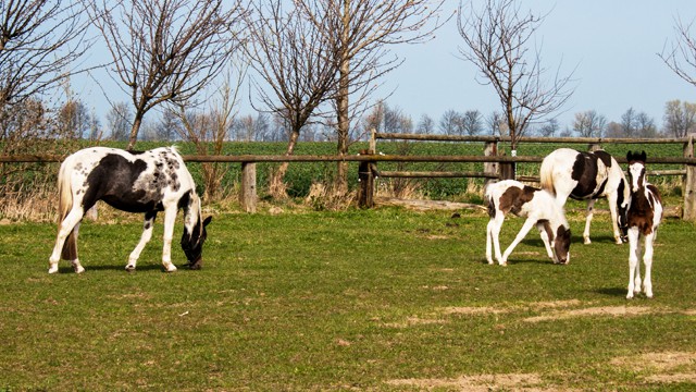 Bild2