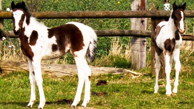 Bild3