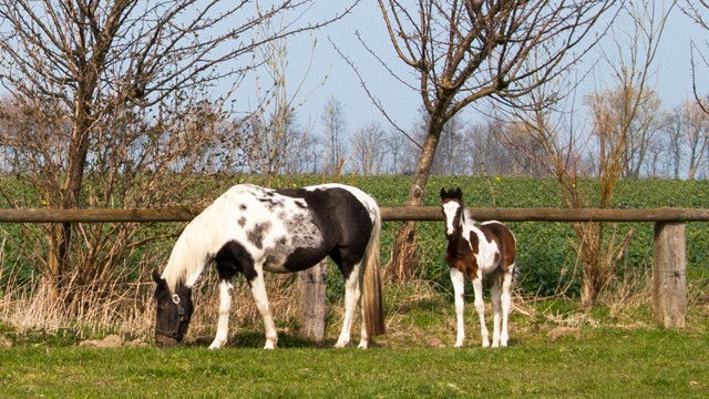 Bild4