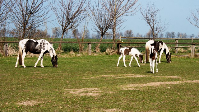 Bild5